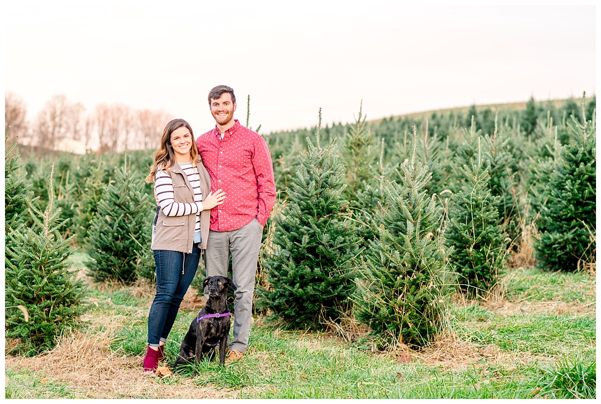 Christmas Tree Farm Engagement