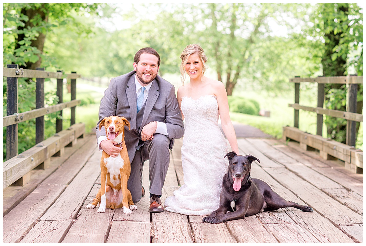 Mount Ida Farm Wedding-1 best dogs2.jpg