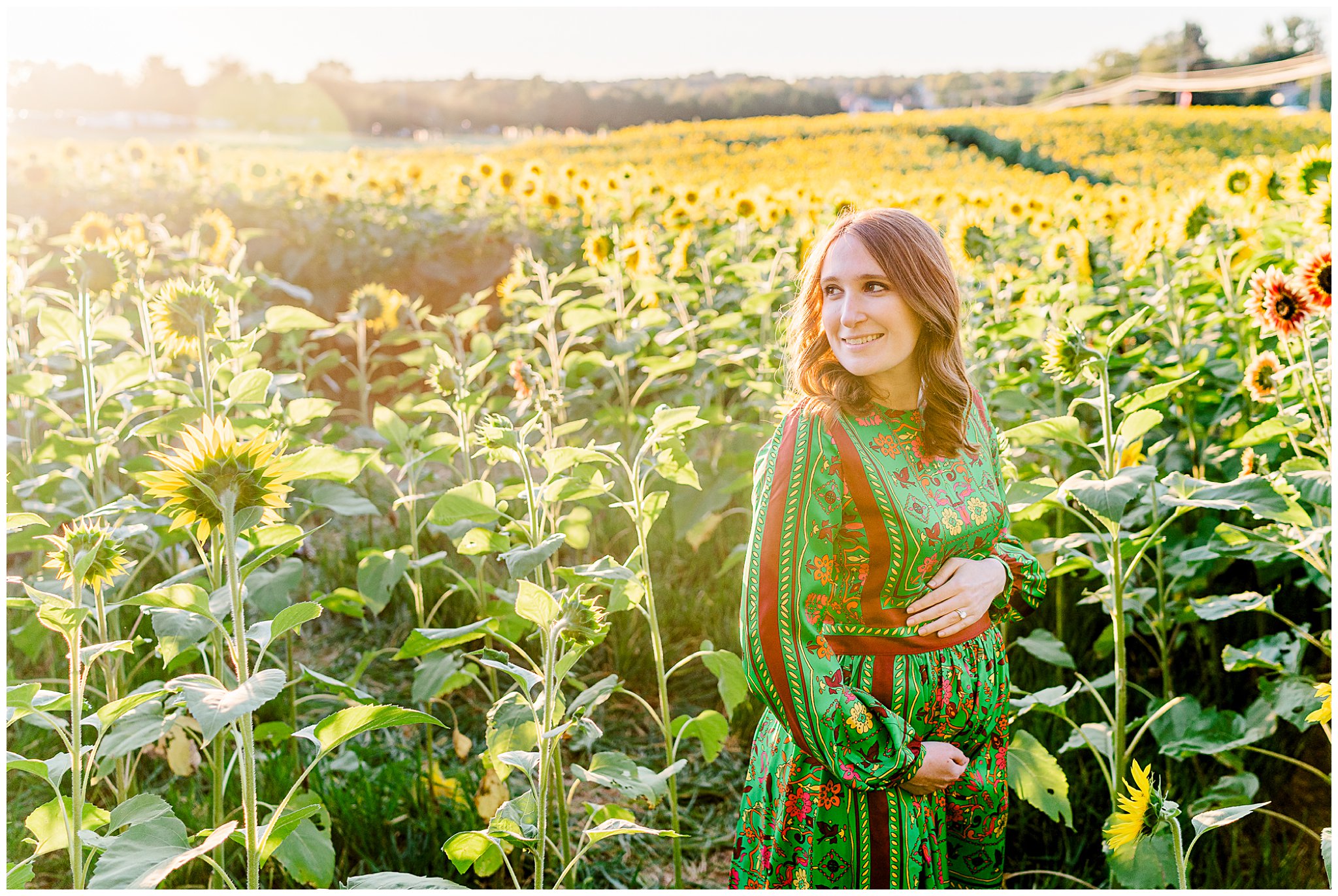 Howard County Sunflower Photographer